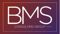 BMS Consulting Group